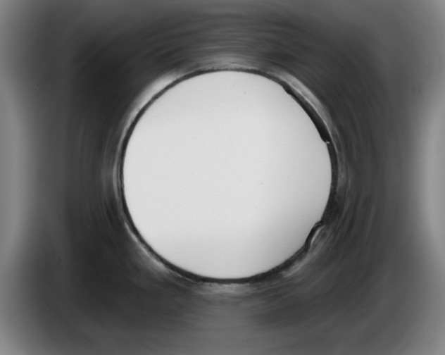 X0000083531293200703091504