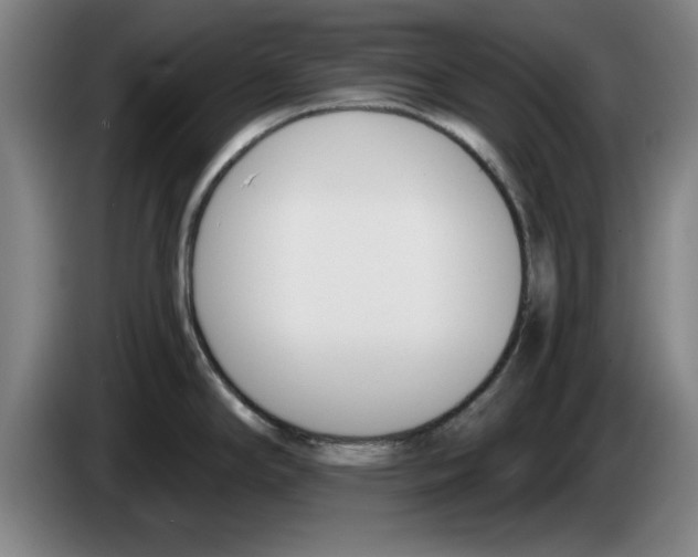 X0000083531294200703091504