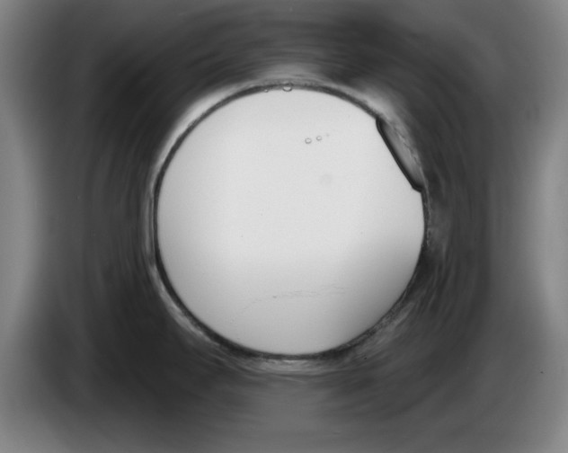 X0000083531295200703091504