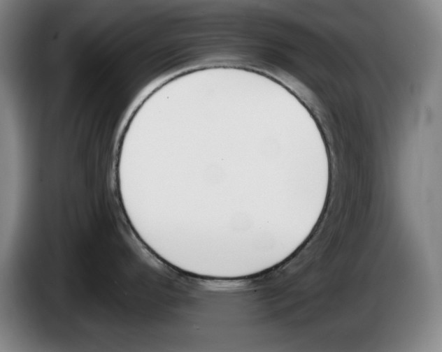 X0000083531296200703091504