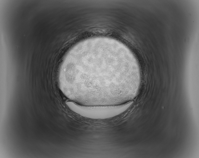 X0000083531297200703091503