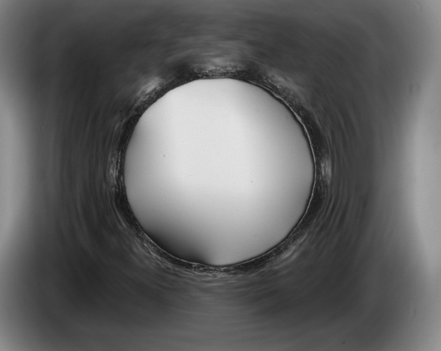 X0000083531300200703091503