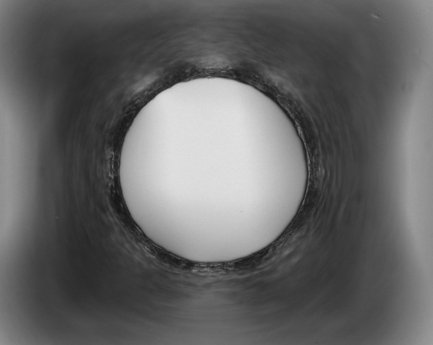 X0000083531301200703091503