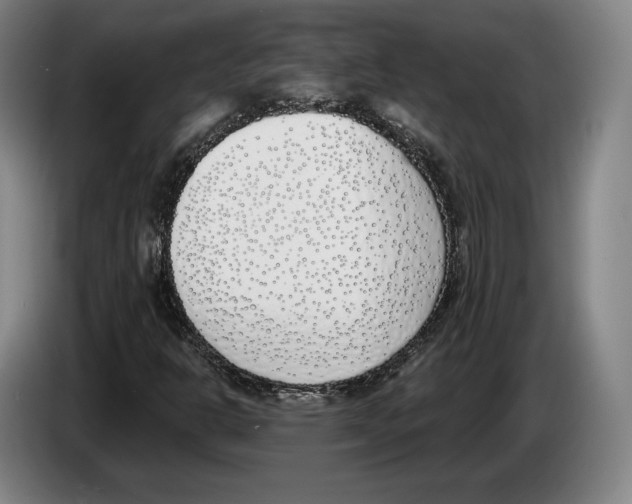 X0000083531302200703091503