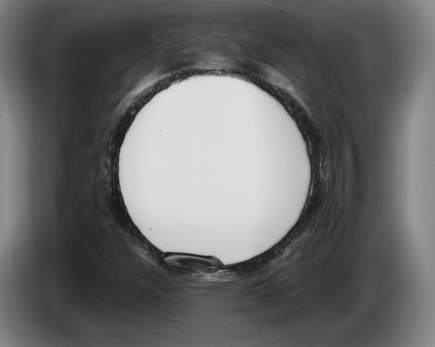 X0000083531304200703091503