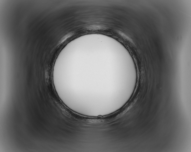 X0000083531305200703091503