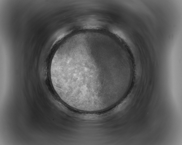 X0000083531306200703091503