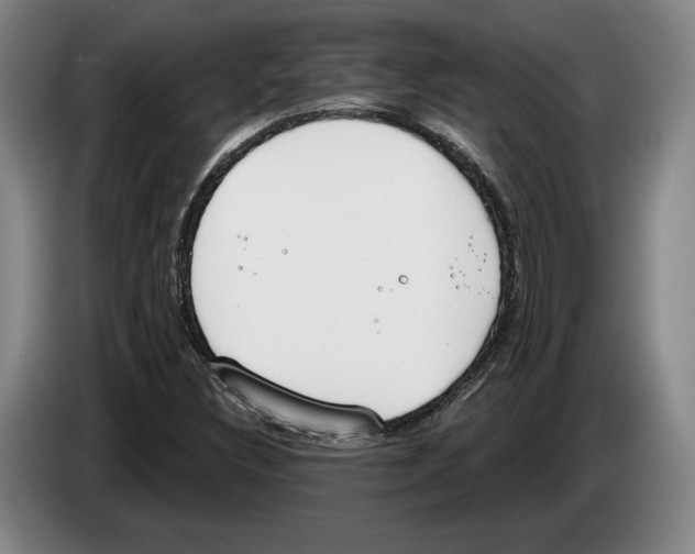 X0000083531308200703091503