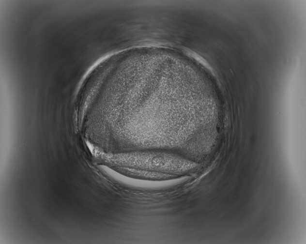 X0000083531310200703091503