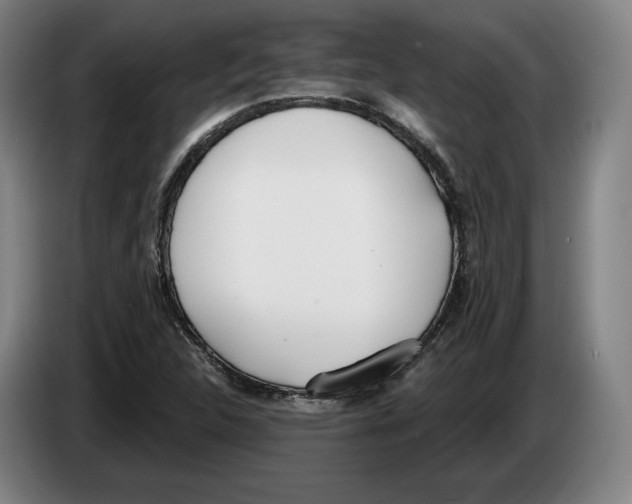 X0000083531312200703091503