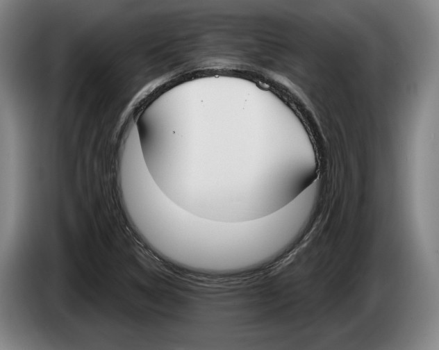 X0000083531314200703091504