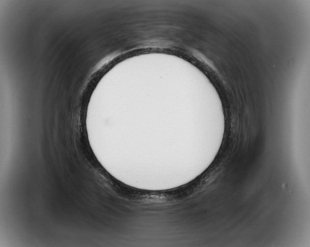 X0000083531315200703091504