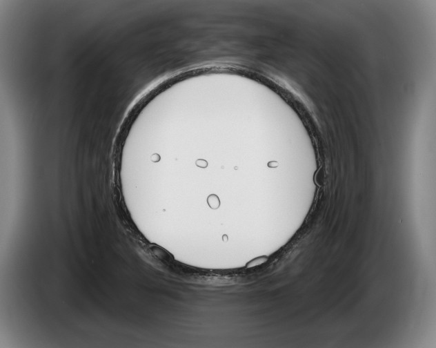 X0000083531316200703091504