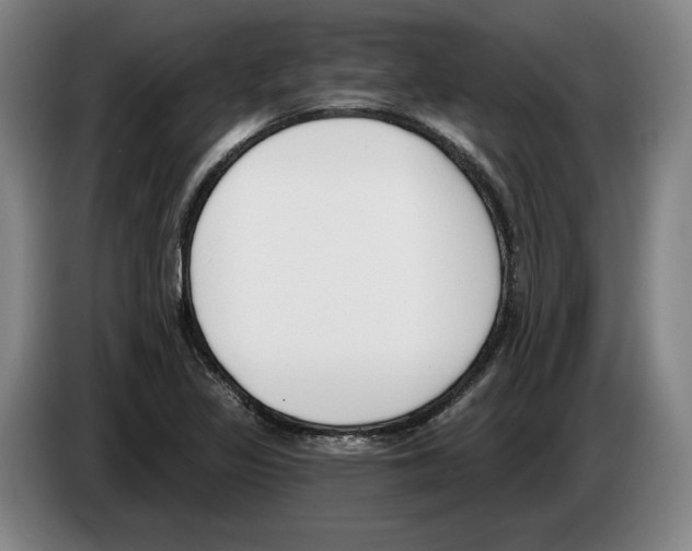 X0000083531317200703091504