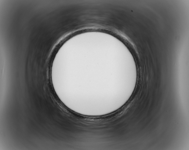 X0000083531318200703091504