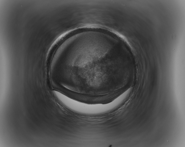 X0000083531319200703091504