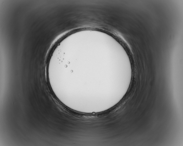 X0000083531320200703091504