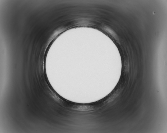 X0000083531322200703091504