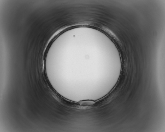 X0000083531324200703091504