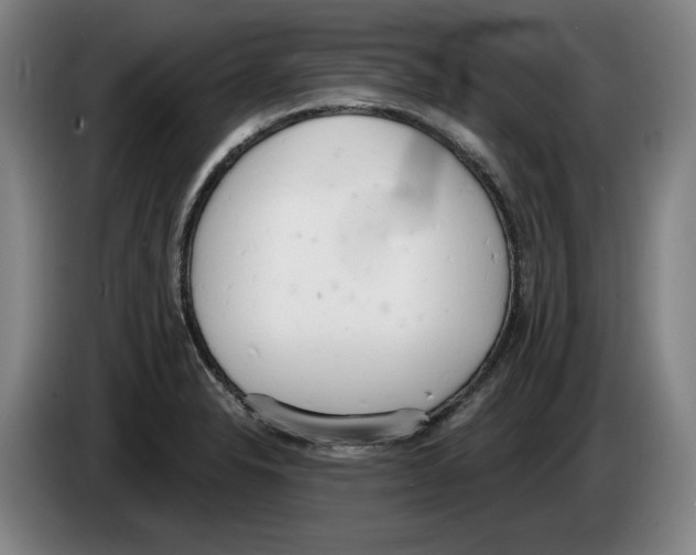 X0000083531326200703091504