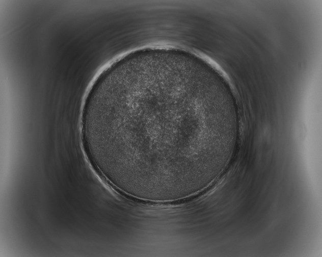 X0000083531327200703091504