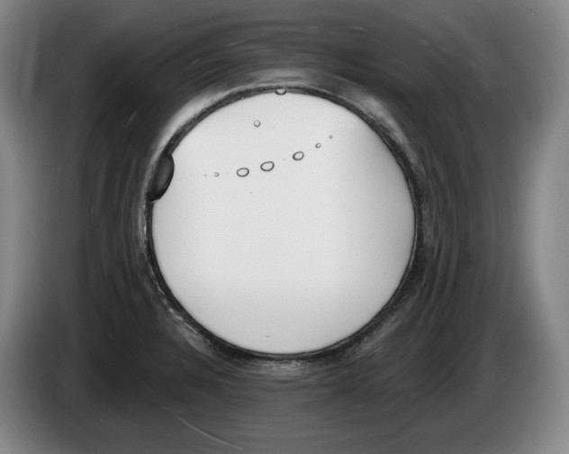 X0000083531328200703091504