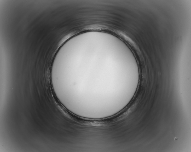 X0000083531329200703091504