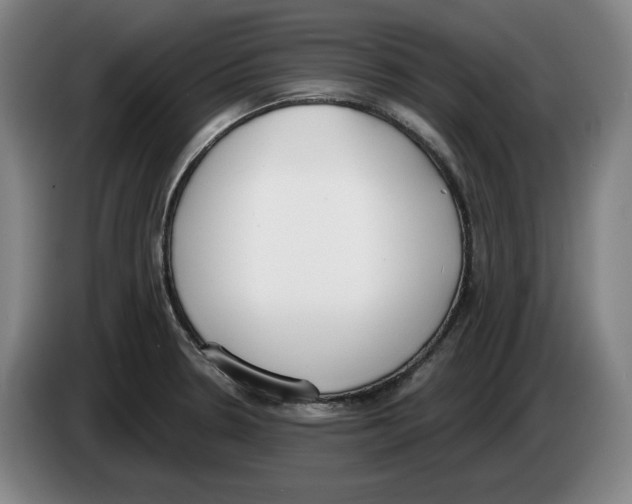 X0000083531330200703091504