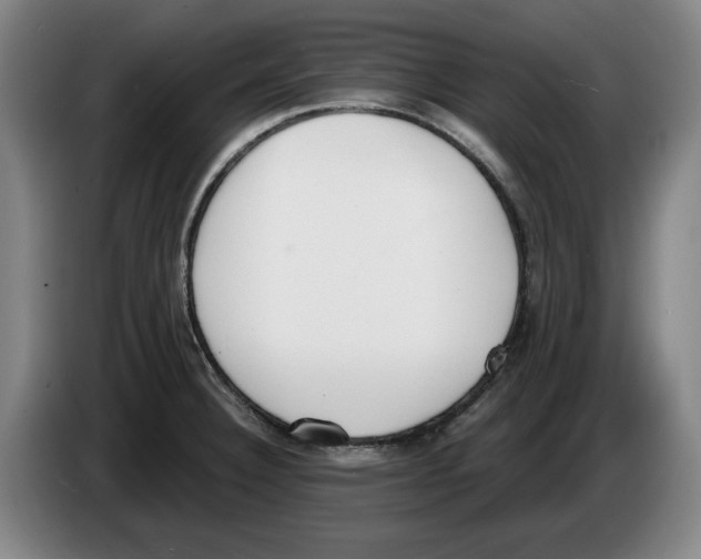 X0000083531332200703091504