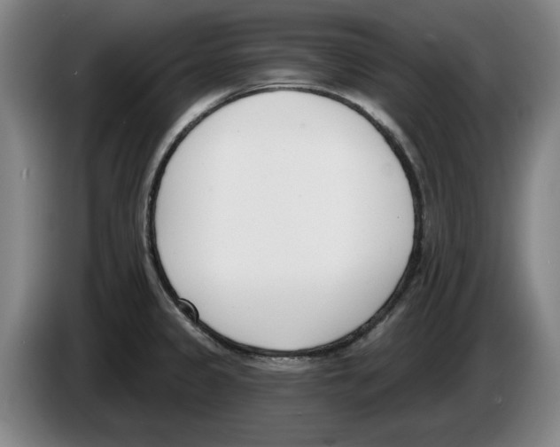 X0000083531333200703091504