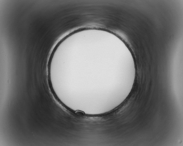 X0000083531335200703091504