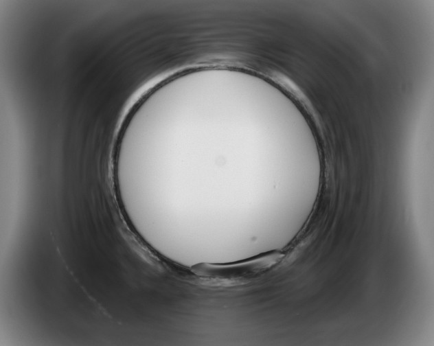 X0000083531336200703091504