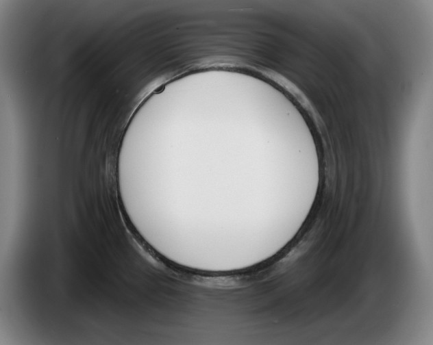 X0000083531337200703091504