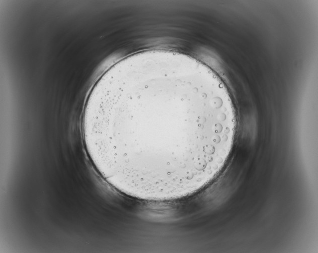 X0000083531338200703091504