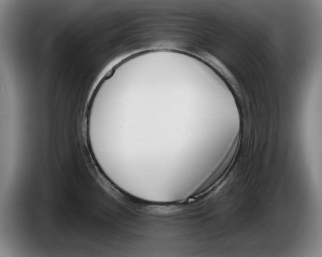 X0000083531340200703091504