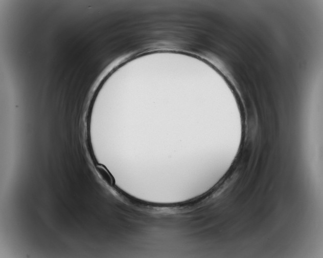 X0000083531341200703091504