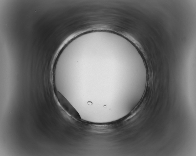 X0000083531342200703091504