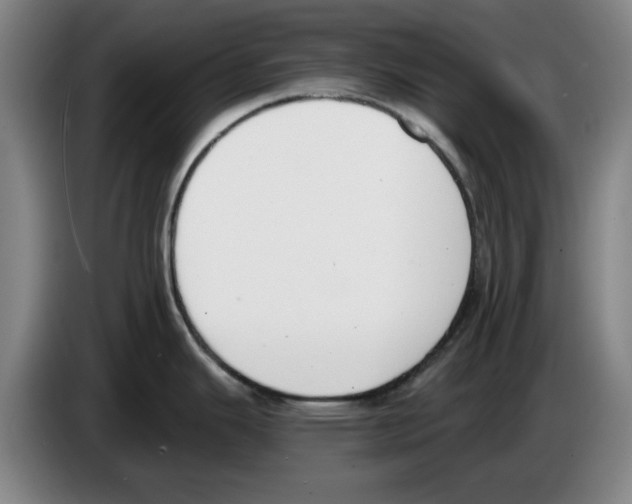 X0000083531343200703091504