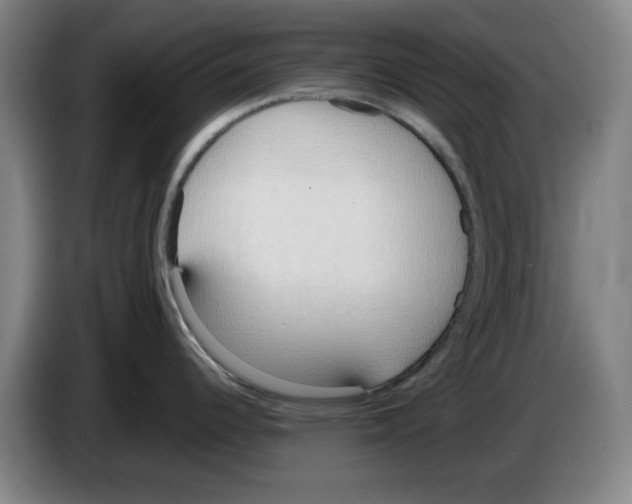 X0000083531344200703091504