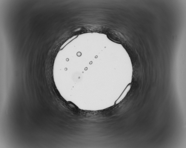 X0000083531345200703091503