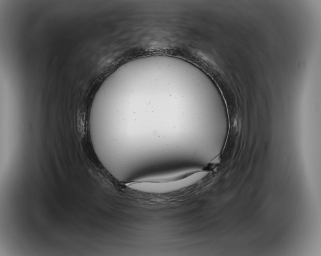 X0000083531348200703091503