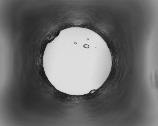 X0000083531349200703091503