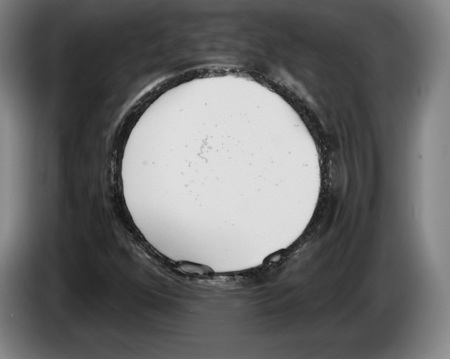 X0000083531352200703091503