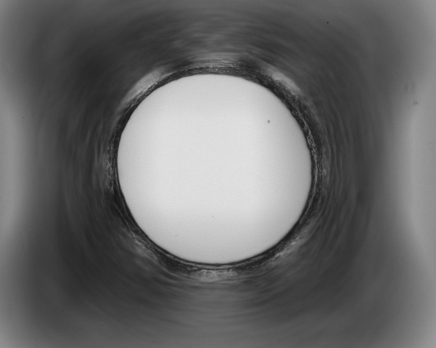 X0000083531354200703091503