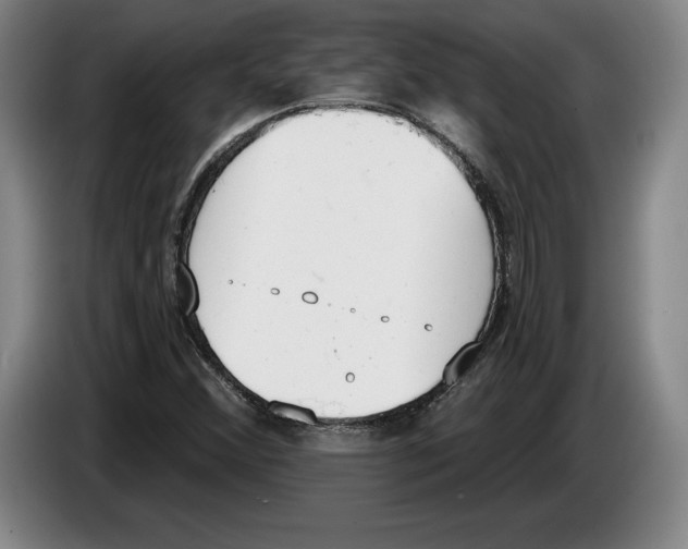 X0000083531356200703091503