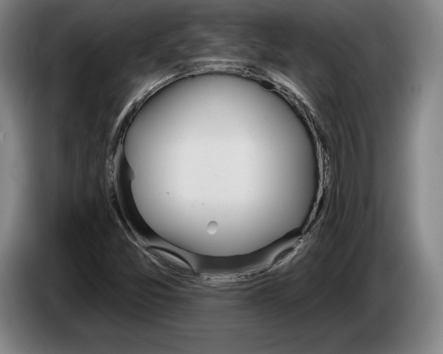 X0000083531357200703091503