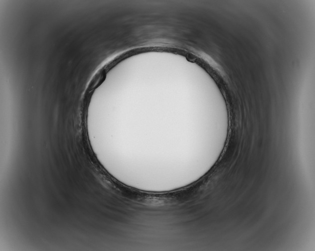 X0000083531364200703091503