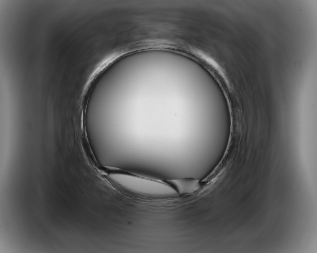 X0000083531365200703091503