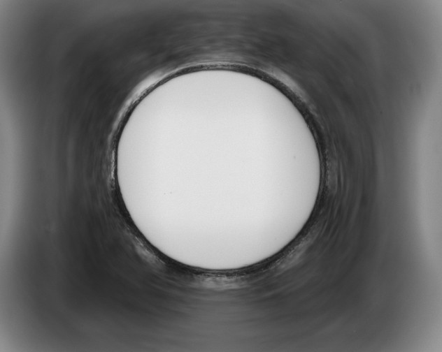 X0000083531366200703091503