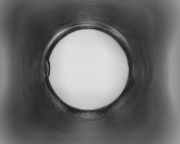 X0000083531368200703091503